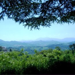 Urbino (1)